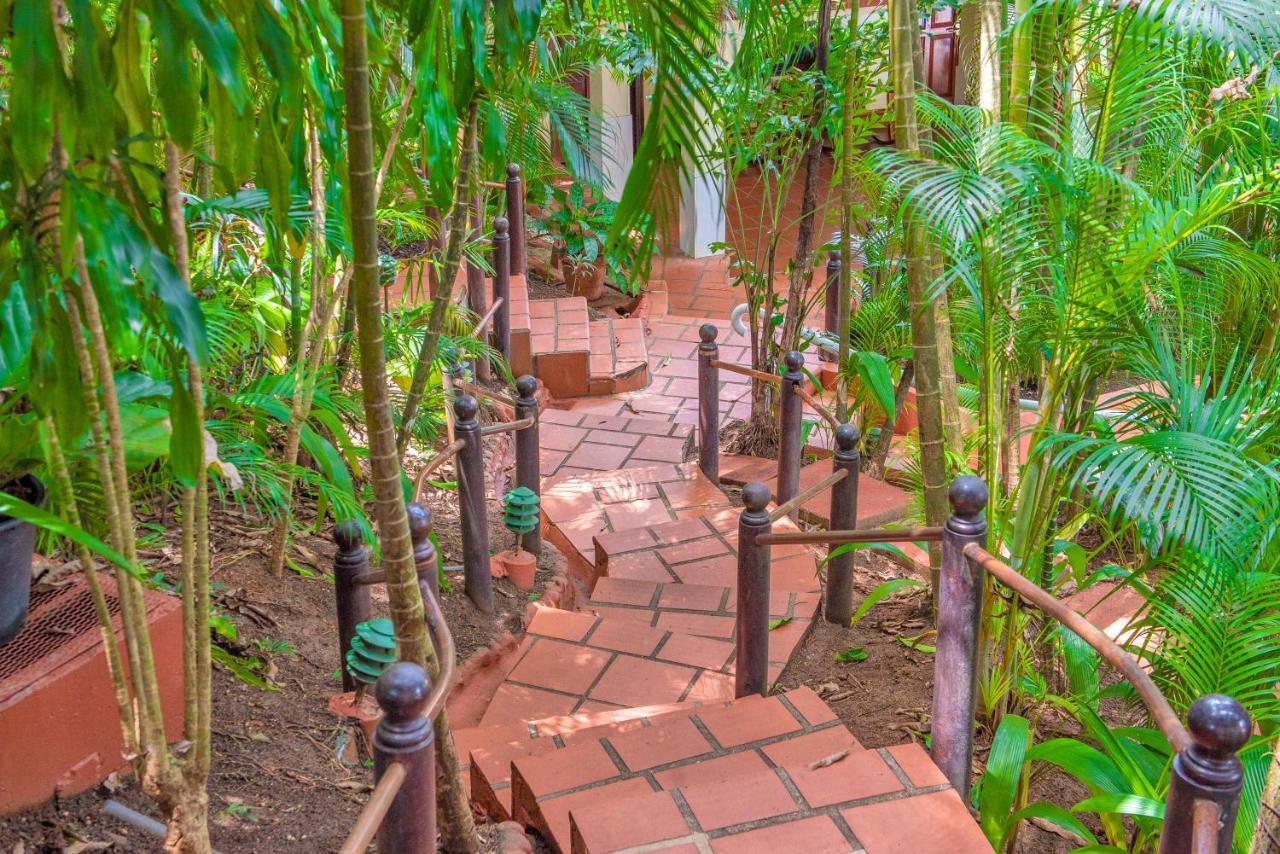Hotel Villas Lirio Manuel Antonio Exterior photo